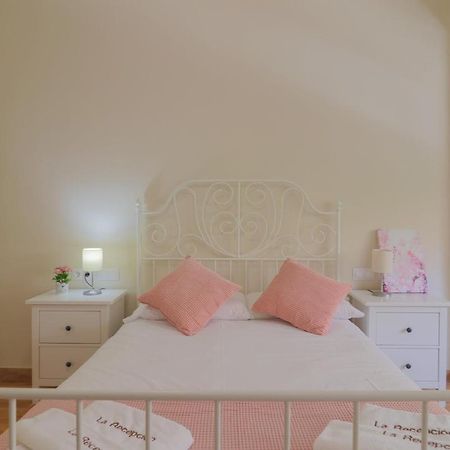 C102 - Huge And Stylish 5 Bedroom By The Center Málaga Buitenkant foto